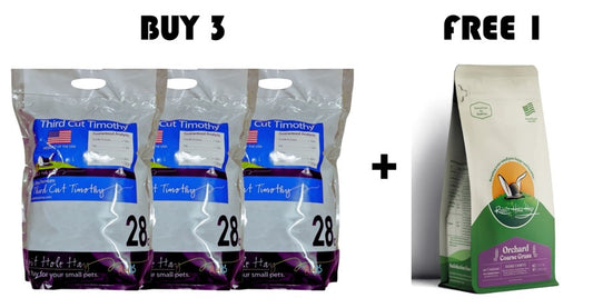 Rabbit Hole Hay - Ultra Premium Soft/3rd Cut 28oz Bundle 4