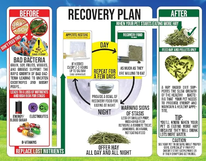 Sherwood Pet Health - Guinea Pig Recovery Food 200g