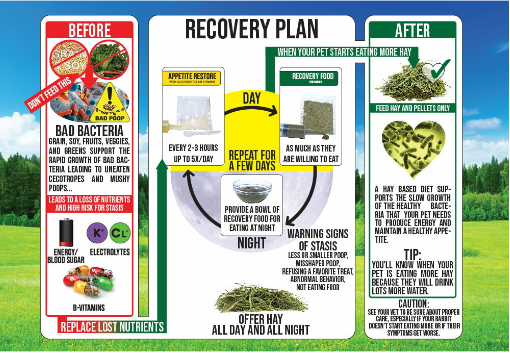 Sherwood Pet Health Recovery Food for Rabbits 10g x 15 Sachets