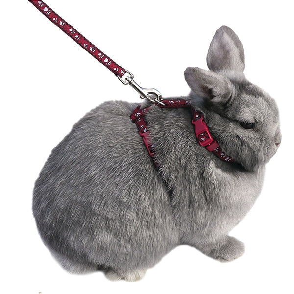 Rosewood - Rosewood Harness and Lead Pawprint (Small)