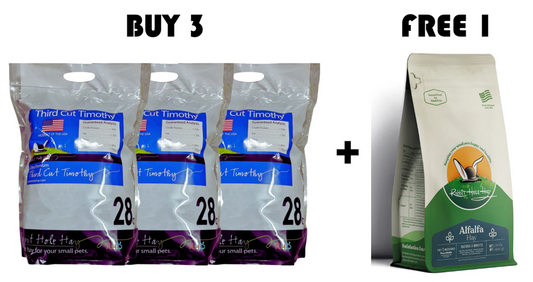 Rabbit Hole Hay - Ultra Premium Soft/3rd Cut 28oz Bundle 1
