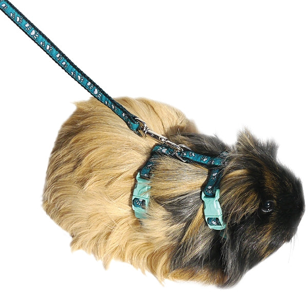 Rosewood - Rosewood Harness and Lead Pawprint (Small)
