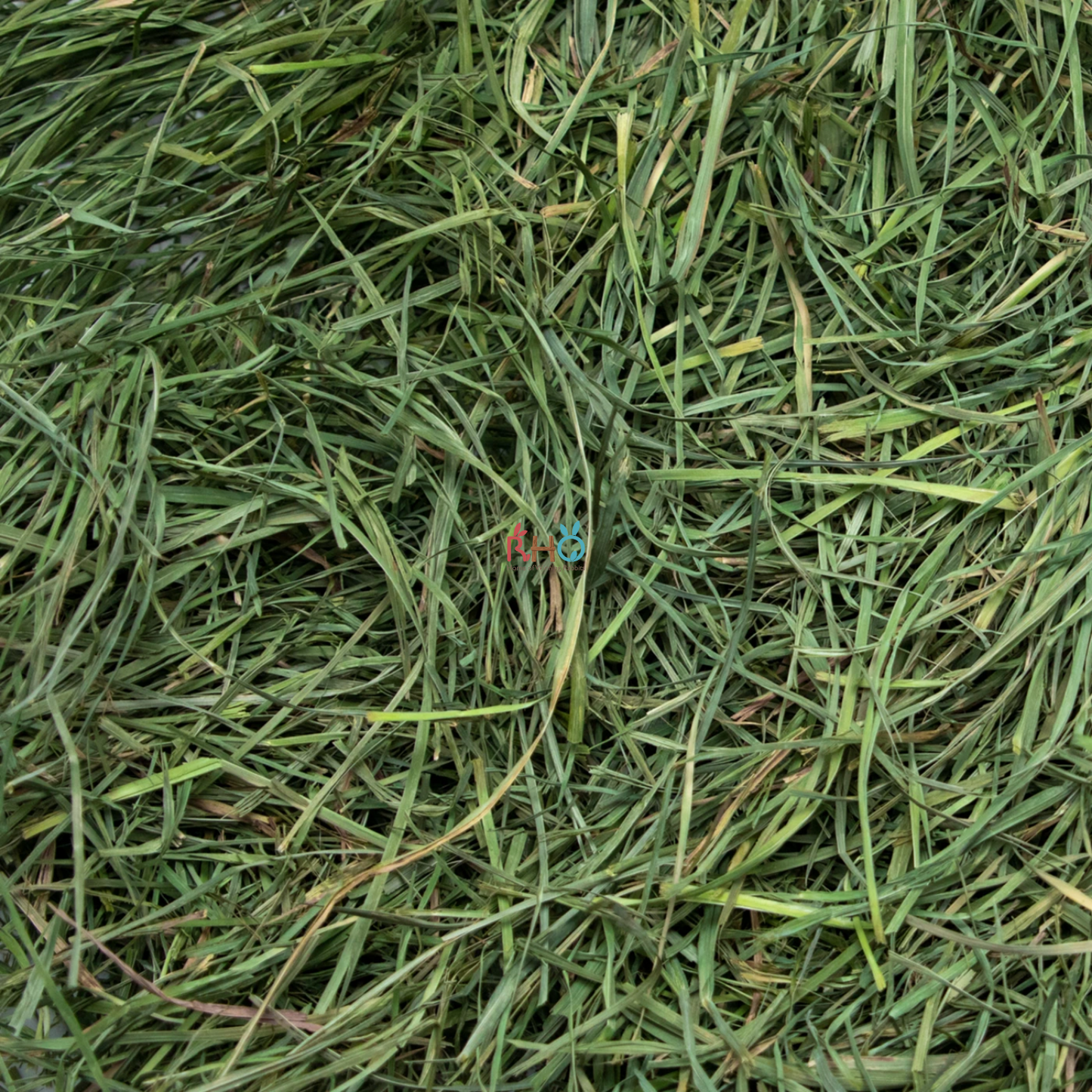Rabbit Hole Hay - Ultra Premium Coarse + Soft Orchard Grass Hay 28oz Bundle