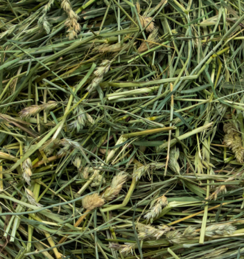 (Fun-Size) Rabbit Hole Hay - Ultra-Premium Coarse Orchard Grass Hay - 4oz/114g