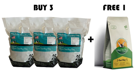 Rabbit Hole Hay - Ultra Premium Medium/2nd Cut 28oz Bundle 2