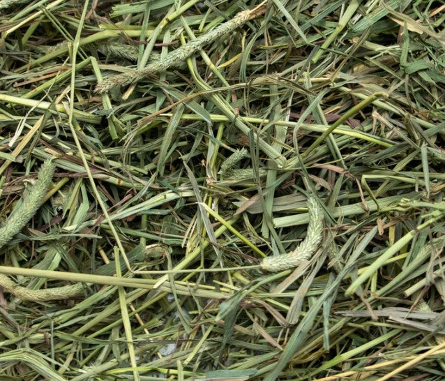 (Fun-Size) Rabbit Hole Hay - Ultra-Premium Medium/2nd Cut Timothy Hay - 4oz/114g