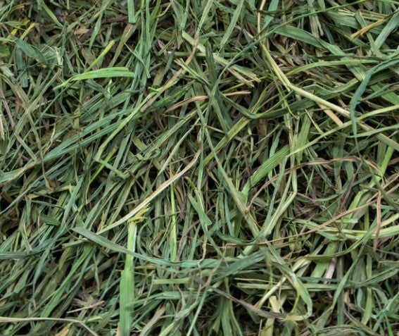 (Fun-Size) Rabbit Hole Hay - Ultra-Premium Soft/3rd Cut Timothy Hay - 4oz/114g