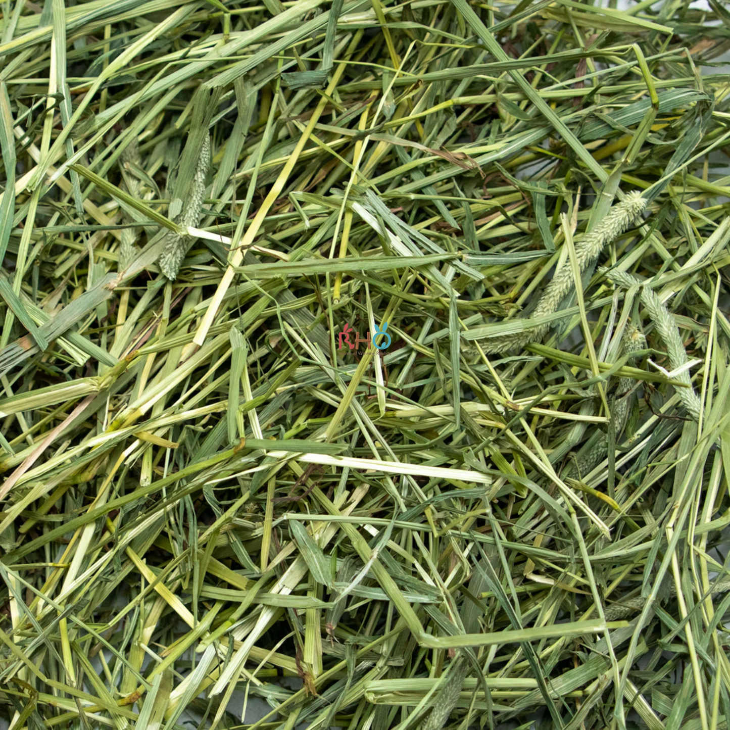 Rabbit Hole Hay - Ultra Premium Coarse/1st Cutting Timothy Hay 28oz
