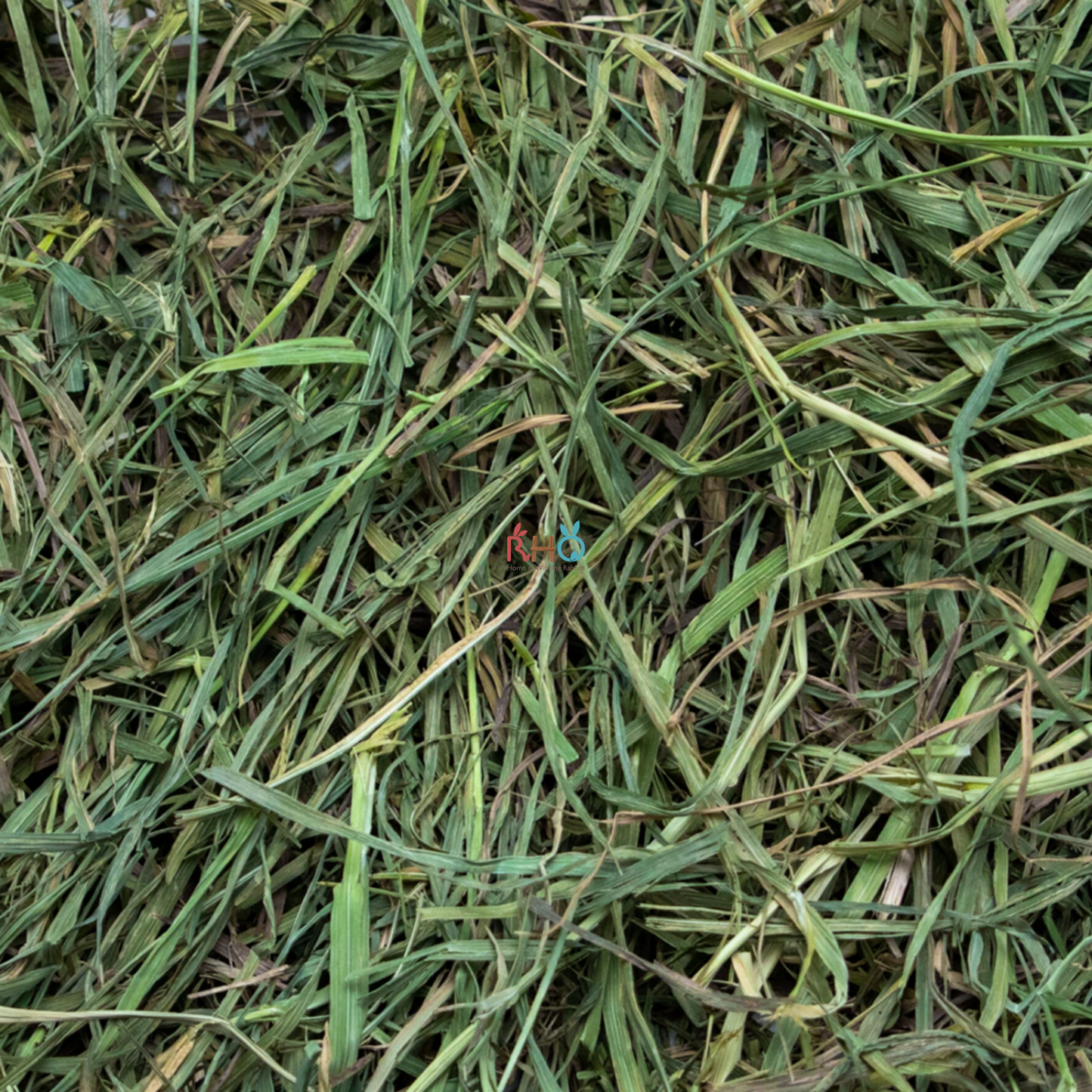 Rabbit Hole Hay - 3rd Cutting Timothy Hay (5lbs)