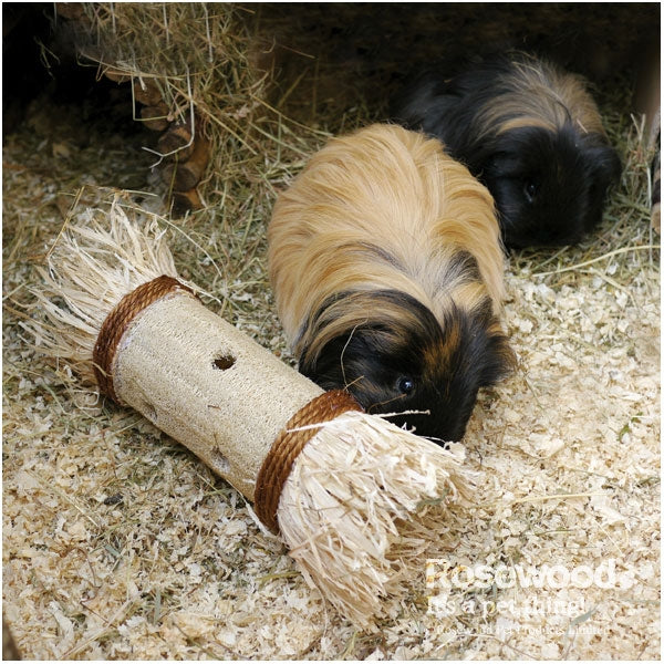 Rosewood Loofa Toss 'n' Treat Roller