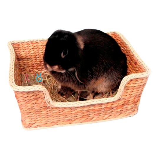 Rosewood Chill N Snooze Bed