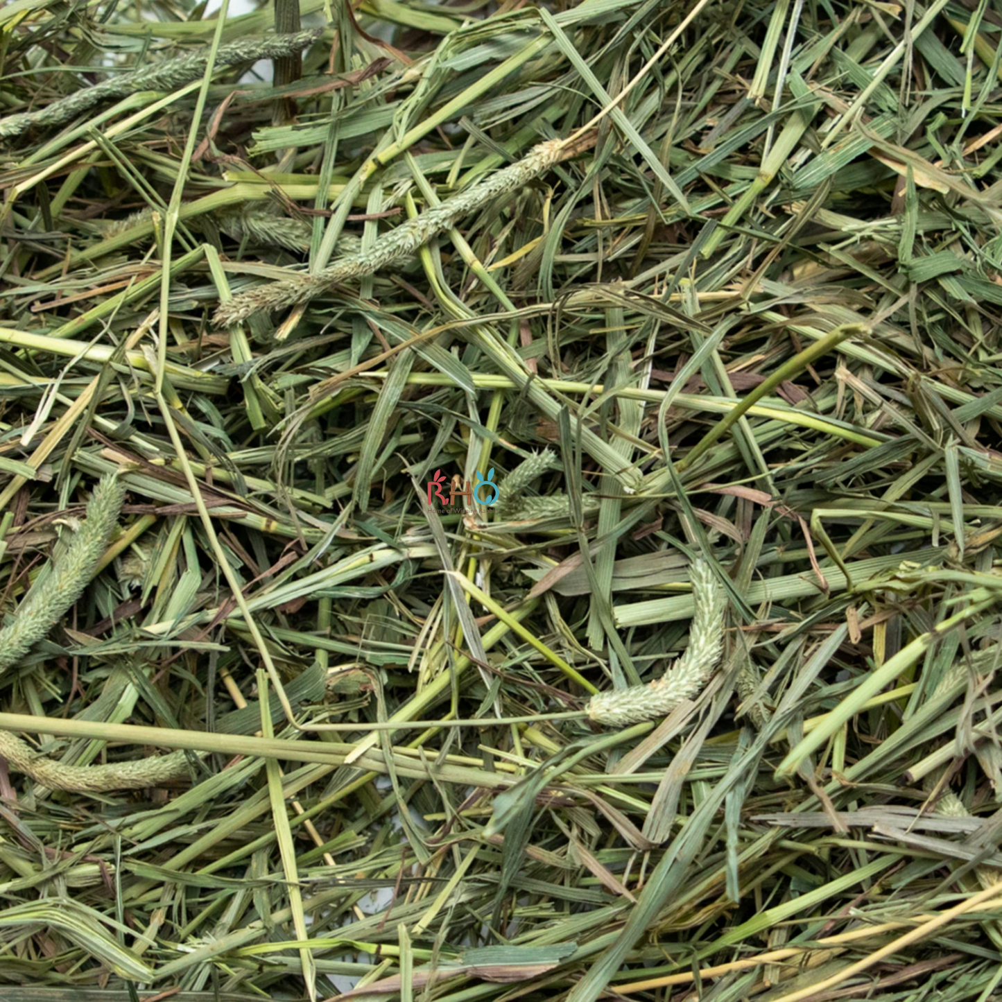 Rabbit Hole Hay - Medium/2nd Cutting Timothy Hay 5lbs