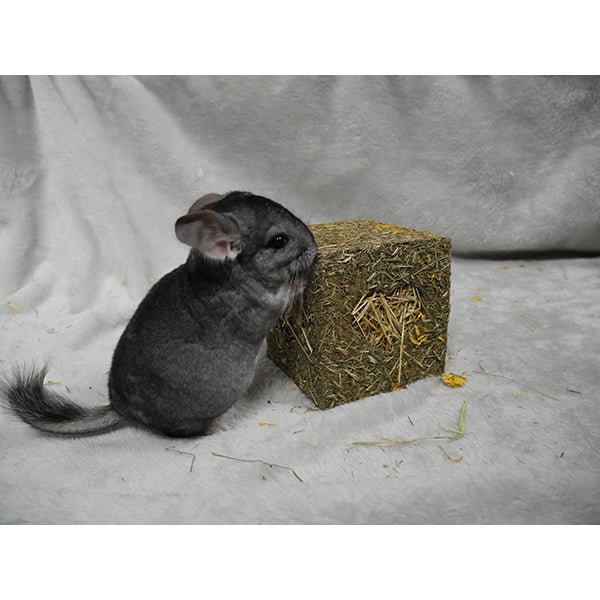 Clearance : Rosewood - I Love Hay Cube (Medium)
