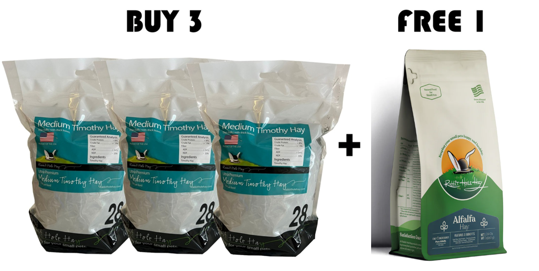 Rabbit Hole Hay - Ultra Premium Medium/2nd Cut 28oz Bundle 1