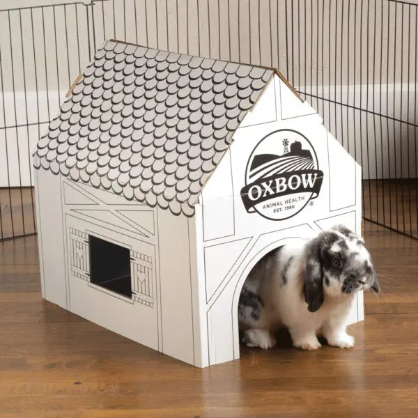 Oxbow Enriched Life - Design Your Own Hideaway House – Rabbit Headquarters