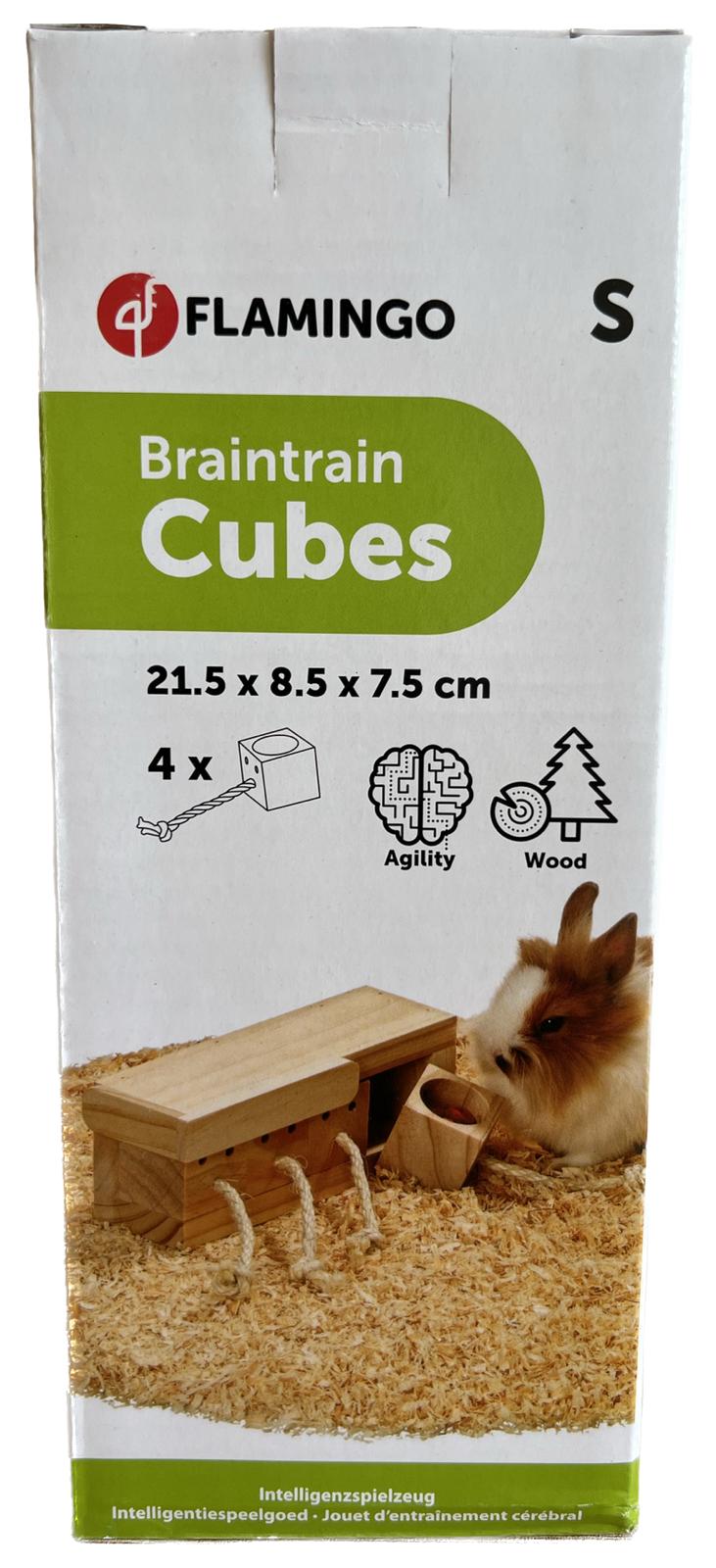 Flamingo Braintrain Cubes