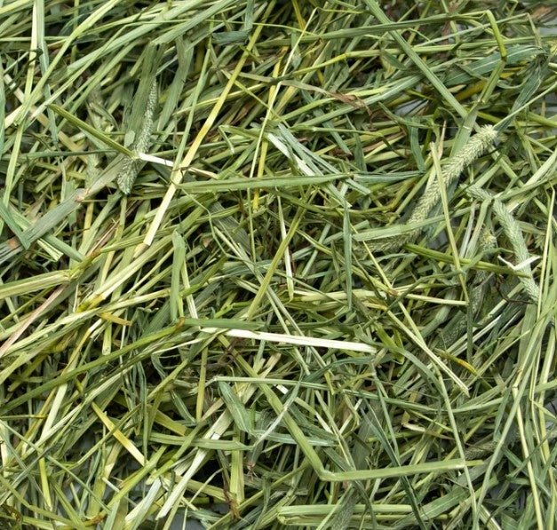 Timothy Size (Fun-Size) Rabbit Hole Hay - Ultra-Premium Coarse/1st Cut Timothy Hay ...