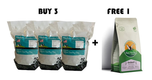 Rabbit Hole Hay - Ultra Premium Medium/2nd Cut 28oz Bundle 3