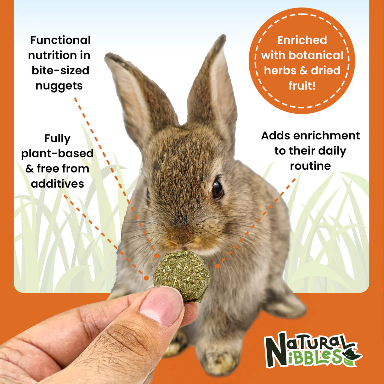 Natural Nibbles ProCare+ Digestion