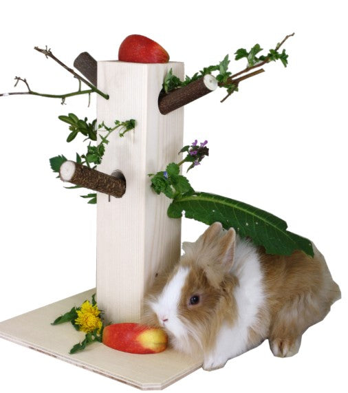 Elmato Wooden Nibble Tree – Rabbit Headquarters