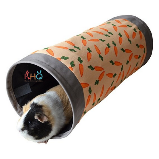 Rosewood - Carrot Fabric Tunnel