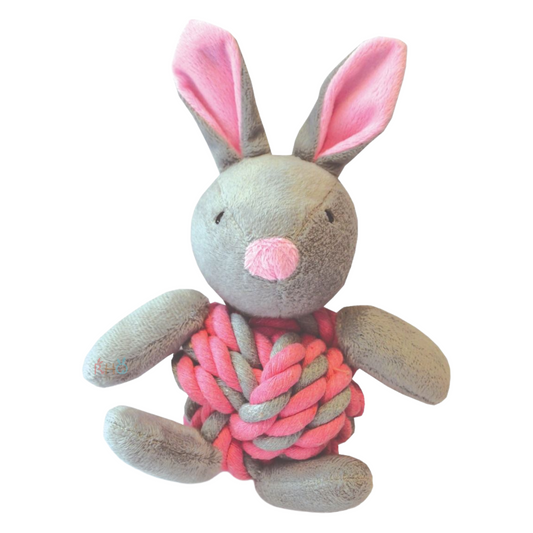 Happypet Little Rascals Knottie Bunny (Pink)