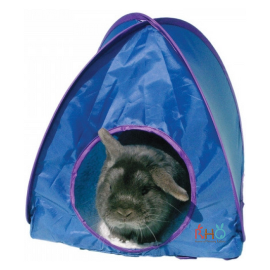 Rosewood Large Pop-Up Tent (Blue/Grey)